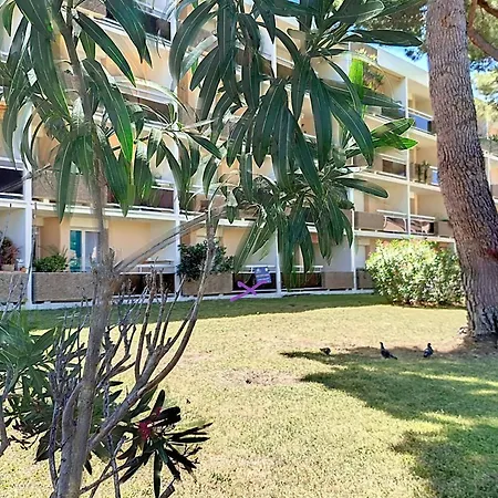 Apartment T2 A Bormes-les-mimosas, Proche Et Commerces, Parking Inclus, Animaux Acceptes Bormes-les-Mimosas