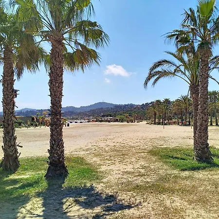 T2 à Bormes-les-mimosas, Proche Et Commerces, Parking Inclus, Animaux Acceptés - Fr-1-610-82 * Bormes-les-Mimosas